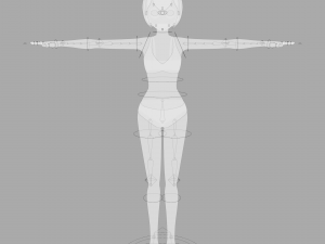 Female - Type 1 Model 3D