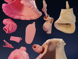 Sans Undertale Modello di stampa 3D