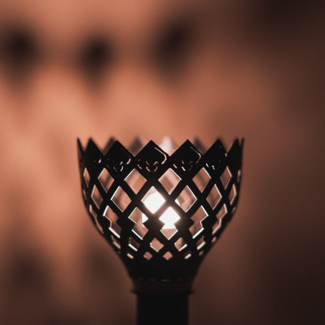lamp shade 3D Model .c4d .max .obj .3ds .fbx .stl .blend 