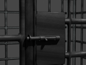 crude iron cage 3D Model