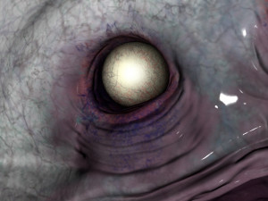 monster realistic - underworld laker Modello 3D