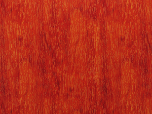 seamless wood texture a CG Textures