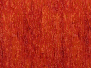 seamless wood texture a CG Textures