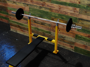 bench with a barbell 3D Model