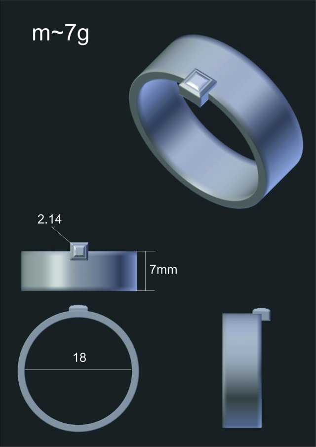 simple ring with gem 3D Model .c4d .max .obj .3ds .fbx .stl .blend 