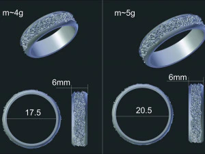 alian&ccedil;as de casamento Modelo 3D