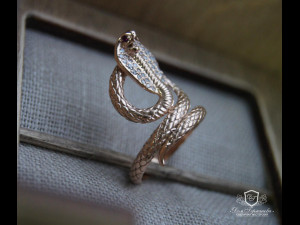 cobra ring 3D 模型