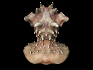 deamon head 1 3D Принт Модель