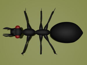 Ant 3Dモデル