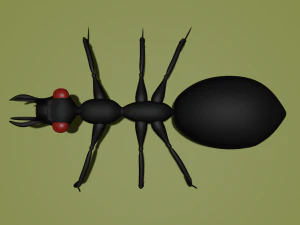 Ant 3D Model