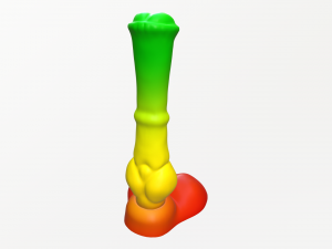 rasta jimmy horse dildo 3D 모델