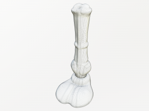 rasta jimmy horse dildo 3D 모델