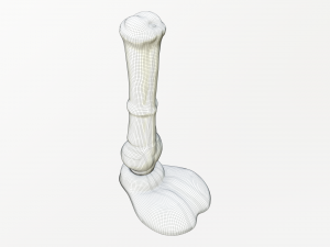 rasta jimmy horse dildo 3D 모델