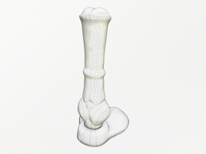 rasta jimmy horse dildo 3D 모델