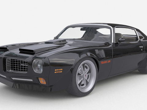 1973 Pontiac Firebird Trans Am 2 3D Model