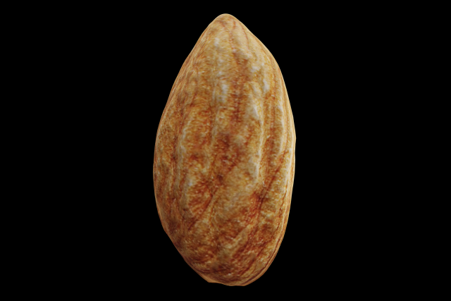 almond Modello 3D .c4d .max .obj .3ds .fbx .stl .blend 