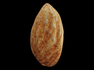 almond Modelo 3D
