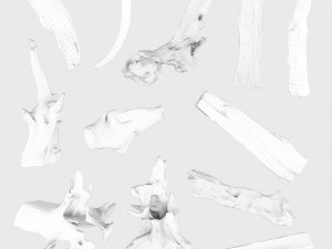 PSscanned Woodchips Pack 1 3D 模型