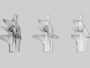 PSscanned Woodchips Pack 1 3D 模型