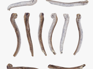 PSscanned Woodchips Pack 1 3D 模型