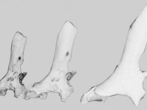 PSscanned Woodchips Pack 1 3D 模型