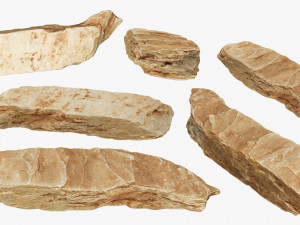 PSscanned stone pack 1 3D Model