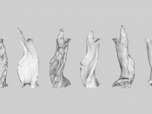 PSscanned Woodchips Pack 2 3D Model