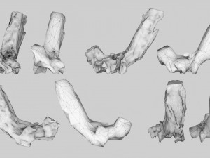 PSscanned Woodchips Pack 2 3D Model