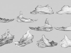 PSscanned Woodchips Pack 2 3D Model