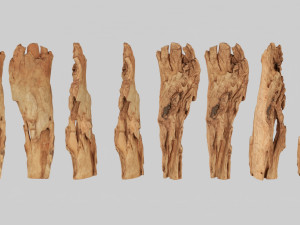 PSscanned Woodchips Pack 2 3D Model
