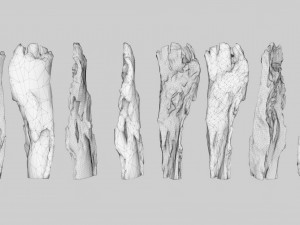 PSscanned Woodchips Pack 2 3D Model