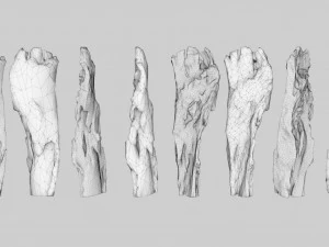 PSscanned Woodchips Pack 2 3D Model