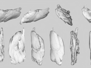 PSscanned Woodchips Pack 2 3D Model