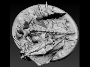 camazotz 3D 프린트 모델