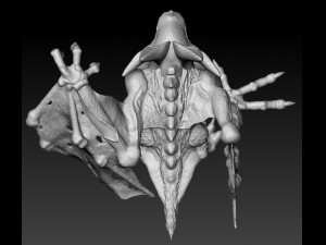 camazotz 3D 프린트 모델