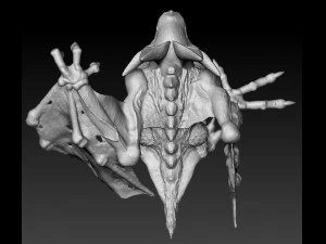 camazotz 3D Print Model