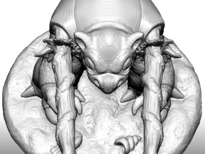 blastoise 3D Baskı Modeli