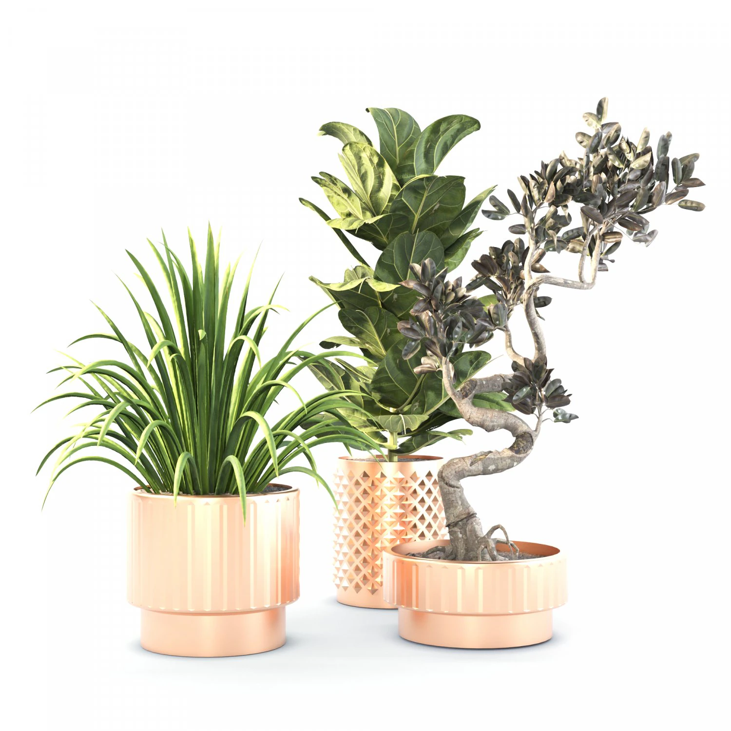 Indoor plant set 02 3D Model .c4d .max .obj .3ds .fbx .stl .blend 