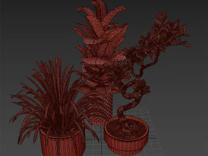 Indoor plant set 02 3D Model