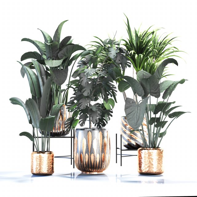 Houseplants for the interior 03 3Dモデル .c4d .max .obj .3ds .fbx .stl .blend 