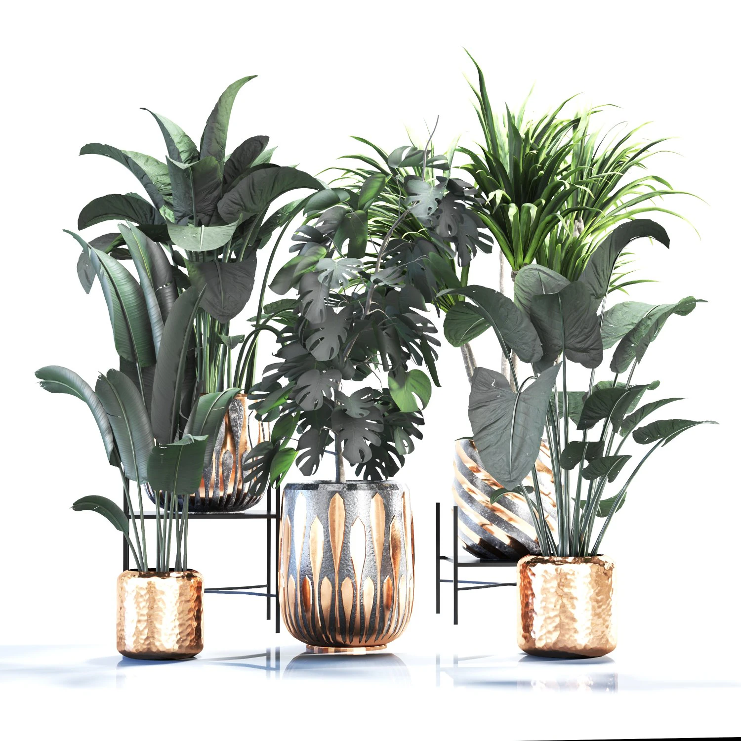Houseplants for the interior 03 3D Model .c4d .max .obj .3ds .fbx .stl .blend 