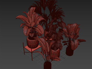Houseplants for the interior 03 3Dモデル
