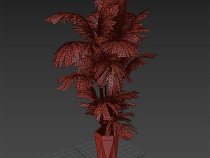 Indoor plant set 1 3D Model