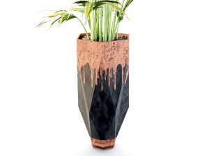 Indoor plant set 1 3D Model