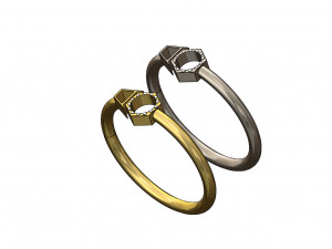 ring 3D 模型