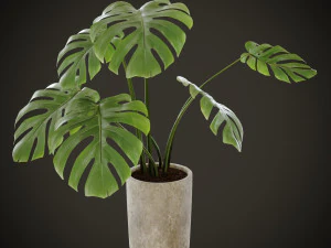 restauracja prado w Lizbonie do renderowania 3dmax i korony Model 3D