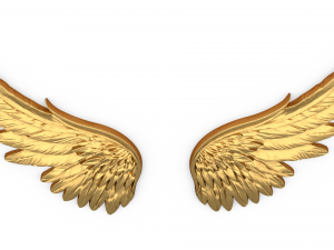 Wings Printable carved decor 05 Modelo 3D