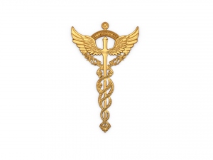 Relief Caduceus carved 02 3D Model