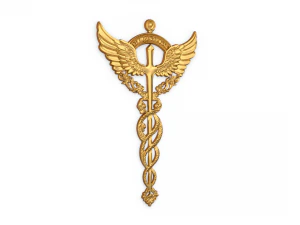 Relief Caduceus carved 02 3D Model
