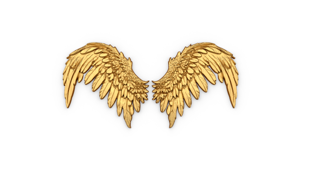 Wings Printable carved decor 09 3D Model .c4d .max .obj .3ds .fbx .stl .blend 